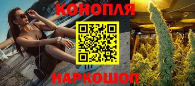 ешки Камышлов