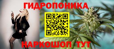 ешки Камышлов