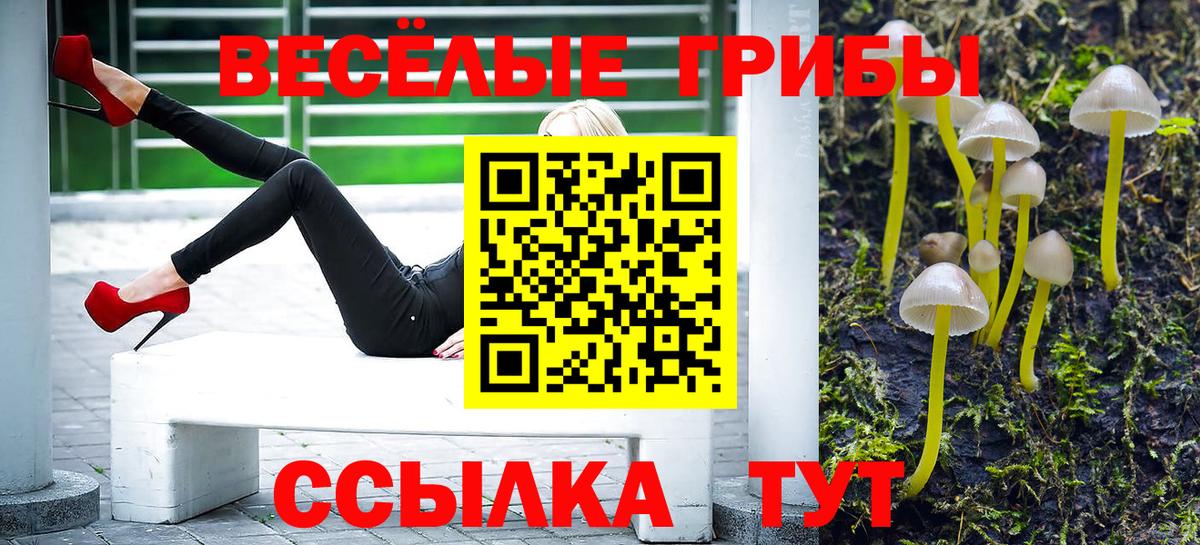 Прокопьевск  Галлюциногенные грибы мухоморы  Вход с VPN 