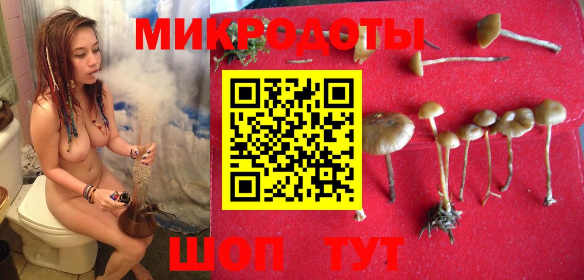 Псилоцибиновые грибы мухоморы Прокопьевск